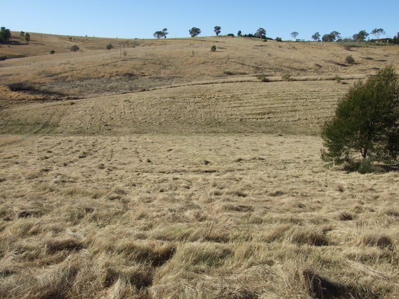 Lot 15 Short Street, Candelo NSW 2550