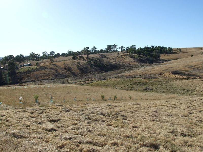 Lot 17 Short Street, Candelo NSW 2550
