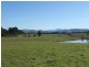 Lots 13 & Moore-Wrens Road, Tarraganda NSW 2550