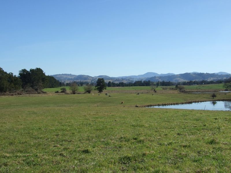 Lots 13 & Moore-Wrens Road, Tarraganda NSW 2550