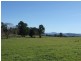 Lots 13 & Moore-Wrens Road, Tarraganda NSW 2550