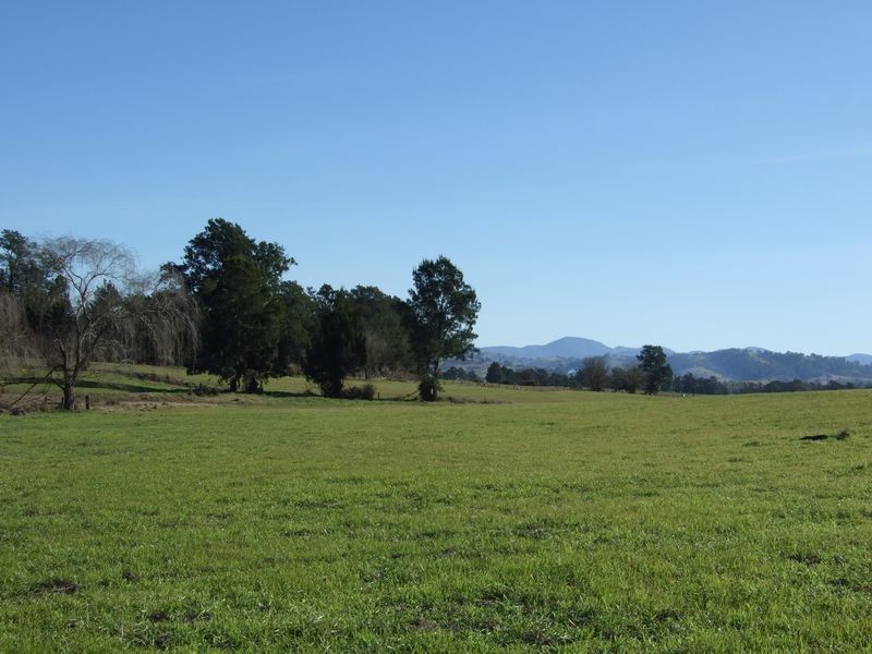 Lots 13 & Moore-Wrens Road, Tarraganda NSW 2550