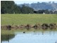 Lots 13 & Moore-Wrens Road, Tarraganda NSW 2550
