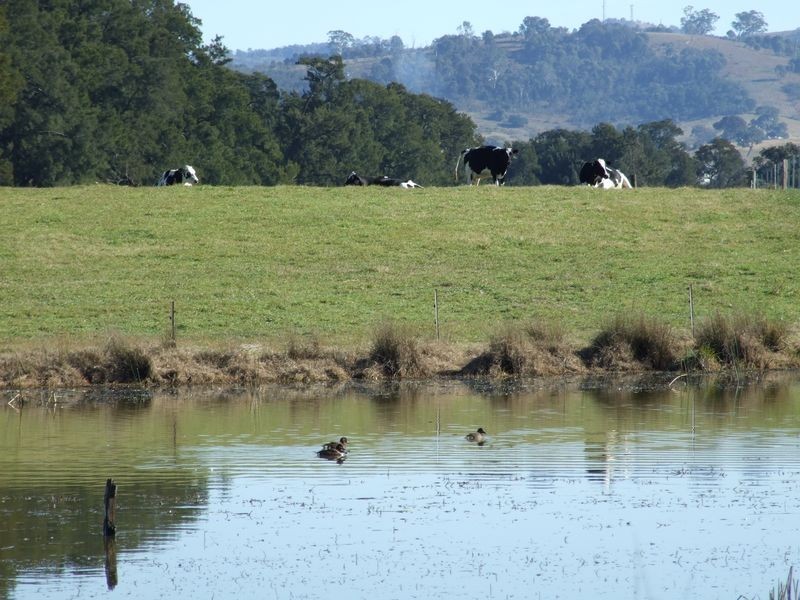 Lots 13 & Moore-Wrens Road, Tarraganda NSW 2550