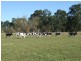 Lots 13 & Moore-Wrens Road, Tarraganda NSW 2550