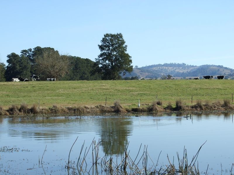 Lots 13 & Moore-Wrens Road, Tarraganda NSW 2550