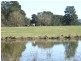 Lots 13 & Moore-Wrens Road, Tarraganda NSW 2550