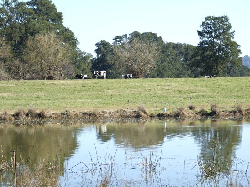 Lots 13 & Moore-Wrens Road, Tarraganda NSW 2550