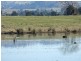 Lots 13 & Moore-Wrens Road, Tarraganda NSW 2550