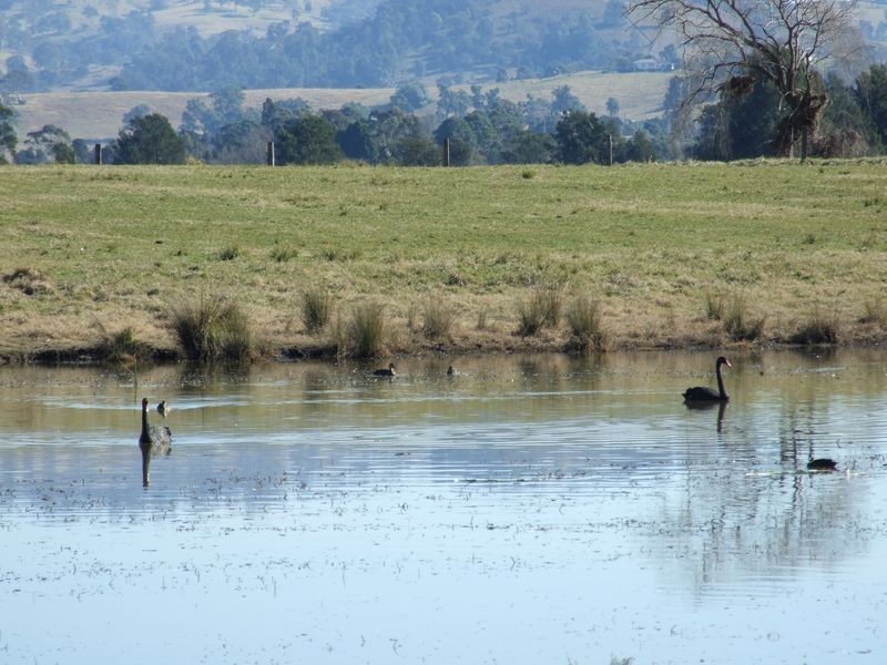 Lots 13 & Moore-Wrens Road, Tarraganda NSW 2550