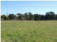 Lots 13 & Moore-Wrens Road, Tarraganda NSW 2550