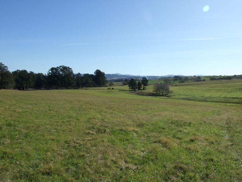 Lots 13 & Moore-Wrens Road, Tarraganda NSW 2550