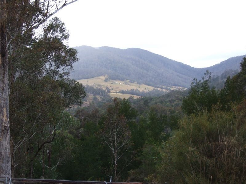 625 Yowrie Road, Cobargo NSW 2550