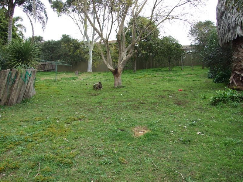 255 Auckland Street, Bega NSW 2550