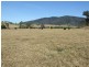 ‘Cranbrook 207 Murrabrine Lane, Cobargo NSW 2550