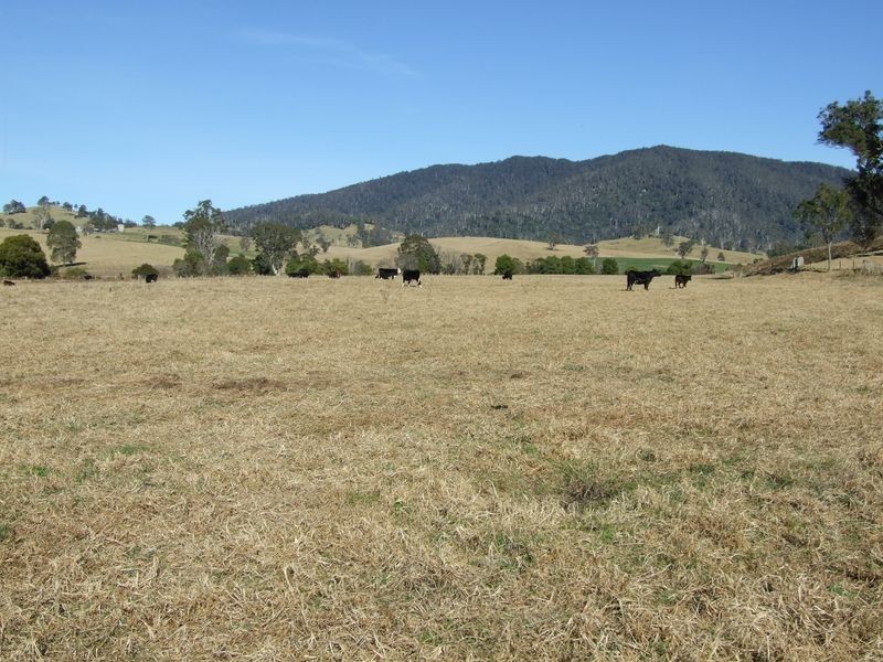 ‘Cranbrook 207 Murrabrine Lane, Cobargo NSW 2550