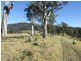 ‘Cranbrook 207 Murrabrine Lane, Cobargo NSW 2550
