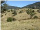 ‘Cranbrook 207 Murrabrine Lane, Cobargo NSW 2550