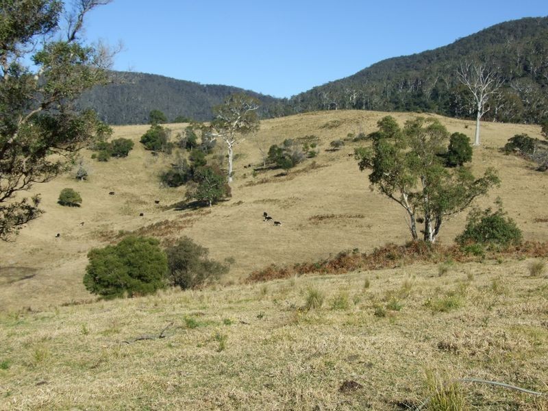 ‘Cranbrook 207 Murrabrine Lane, Cobargo NSW 2550