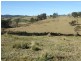 ‘Cranbrook 207 Murrabrine Lane, Cobargo NSW 2550