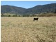 ‘Cranbrook 207 Murrabrine Lane, Cobargo NSW 2550