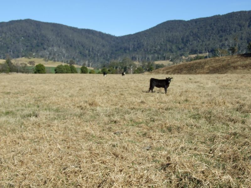 ‘Cranbrook 207 Murrabrine Lane, Cobargo NSW 2550