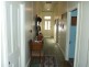 ‘Cranbrook 207 Murrabrine Lane, Cobargo NSW 2550
