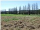 Lot 1 Springvale Close, Bega NSW 2550