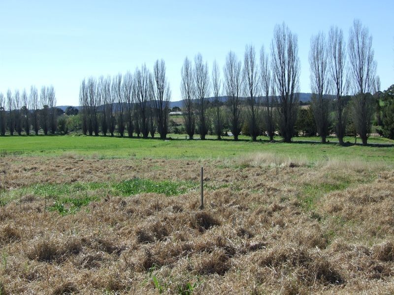 Lot 1 Springvale Close, Bega NSW 2550