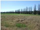Lot 1 Springvale Close, Bega NSW 2550