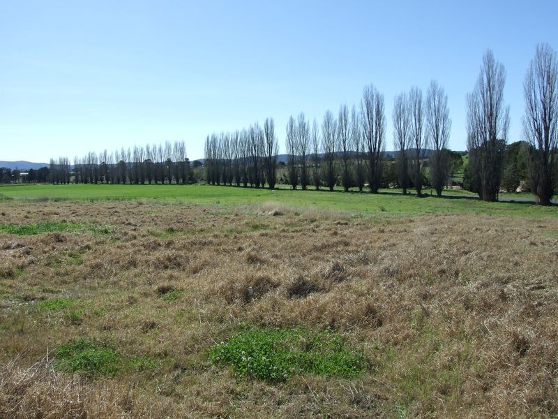 Lot 1 Springvale Close, Bega NSW 2550