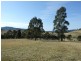 91 Devils Hole Road, Wyndham NSW 2550