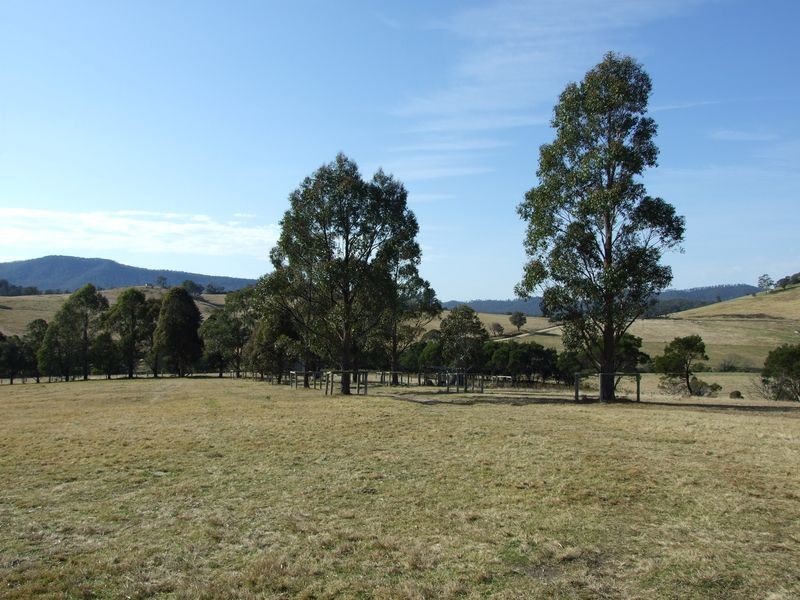 91 Devils Hole Road, Wyndham NSW 2550