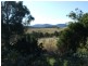 91 Devils Hole Road, Wyndham NSW 2550