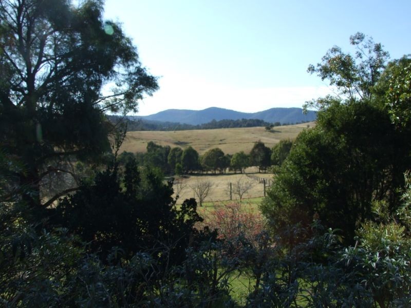 91 Devils Hole Road, Wyndham NSW 2550