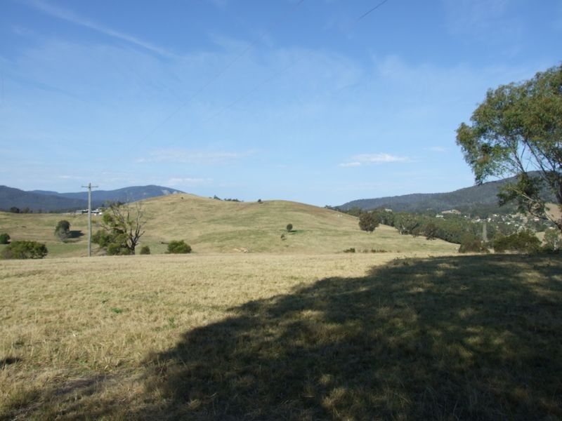 91 Devils Hole Road, Wyndham NSW 2550