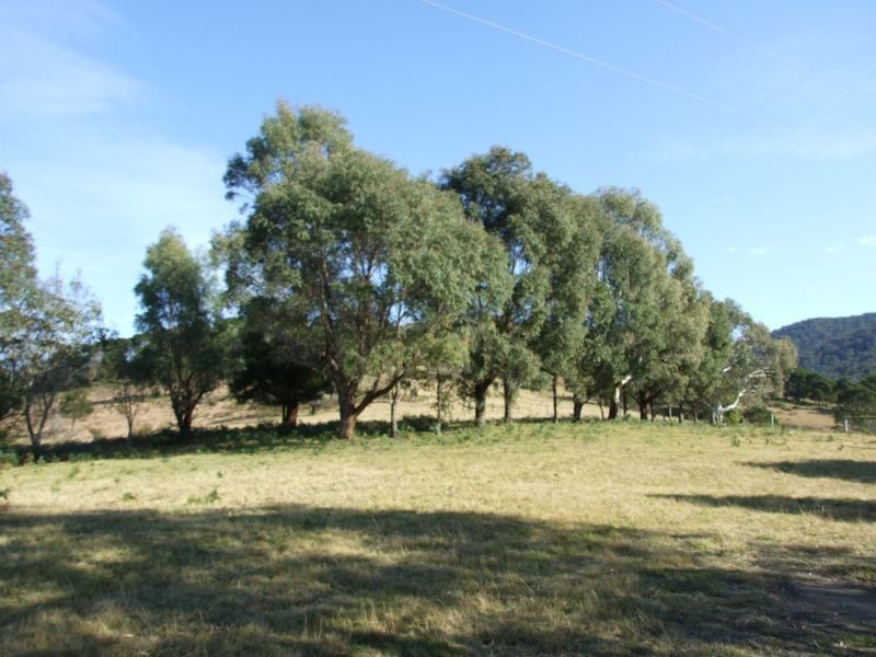 91 Devils Hole Road, Wyndham NSW 2550