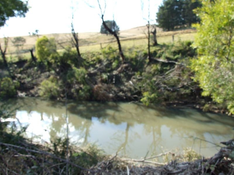 91 Devils Hole Road, Wyndham NSW 2550