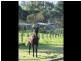 17 Nullica Road, Tarraganda NSW 2550