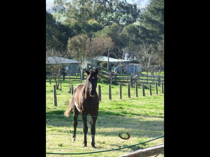 17 Nullica Road, Tarraganda NSW 2550