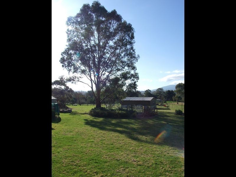17 Nullica Road, Tarraganda NSW 2550
