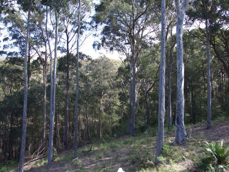 3388 Tathra Bermagui Road, Akolele NSW 2546