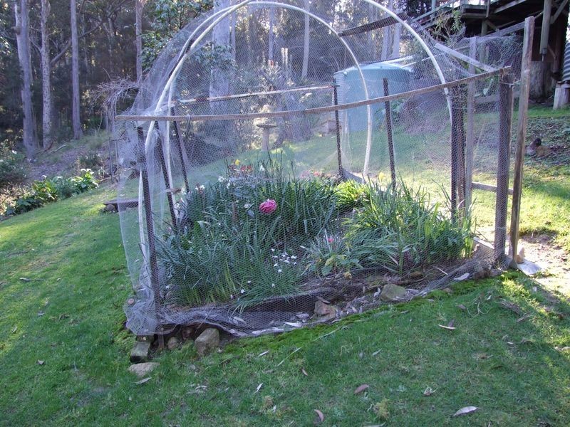 3388 Tathra Bermagui Road, Akolele NSW 2546