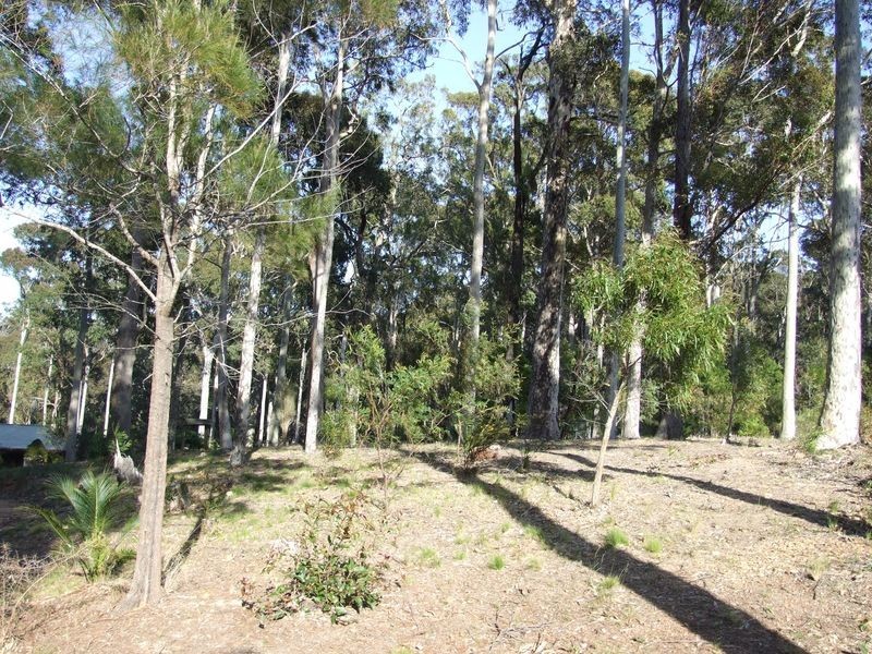 3388 Tathra Bermagui Road, Akolele NSW 2546