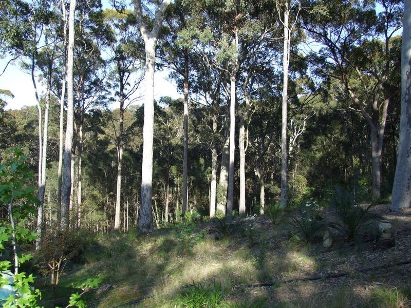 3388 Tathra Bermagui Road, Akolele NSW 2546