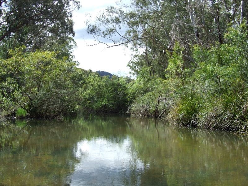 ‘Rosebank’ New Buildings Road, Wyndham NSW 2550