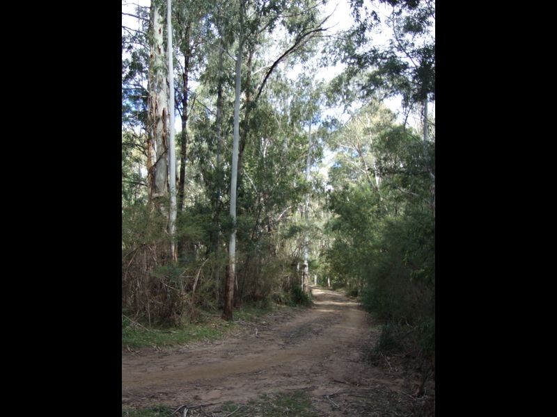 ‘Rosebank’ New Buildings Road, Wyndham NSW 2550