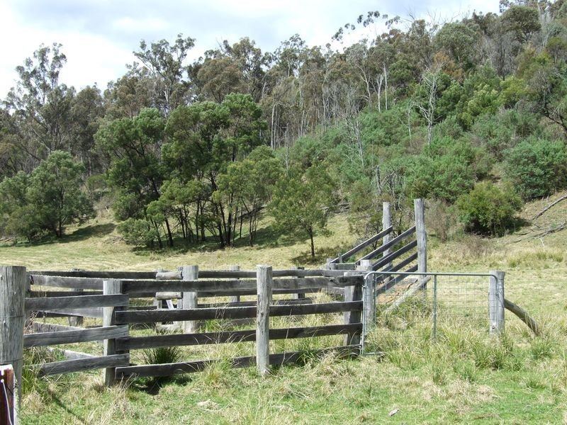 ‘Rosebank’ New Buildings Road, Wyndham NSW 2550