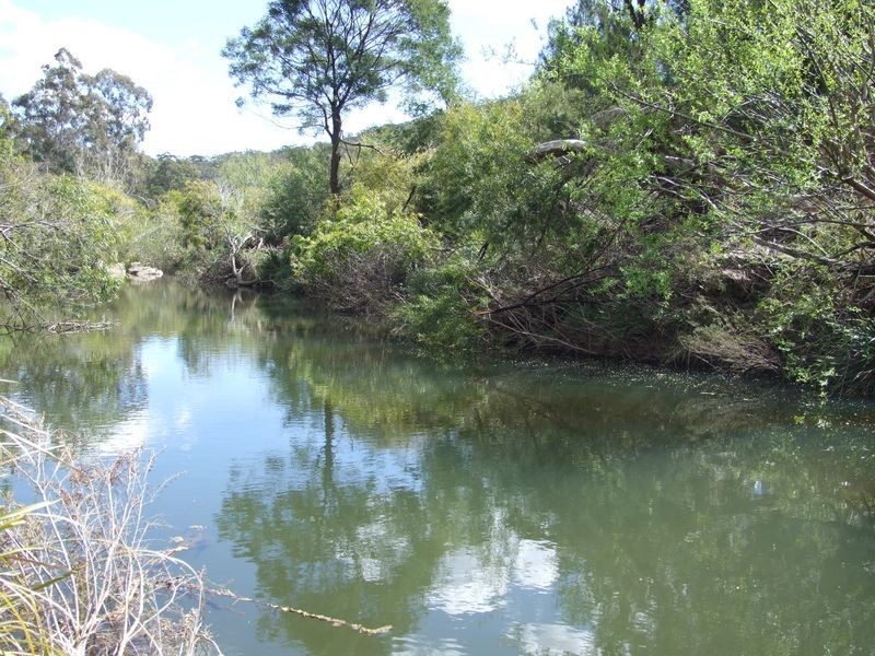 ‘Rosebank’ New Buildings Road, Wyndham NSW 2550