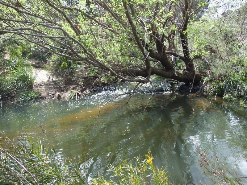 ‘Rosebank’ New Buildings Road, Wyndham NSW 2550